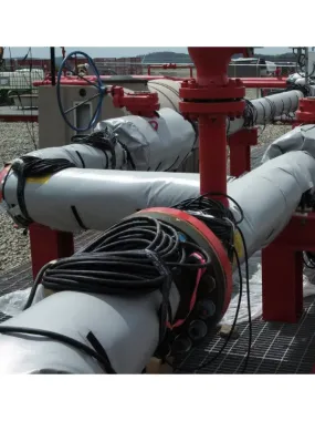 10" Diameter x 5' Long Pipe Heater Wrap (120V)