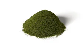 AGT Green Base Layer - G6421