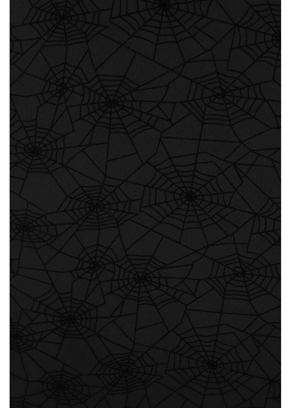 Banned Alternative Seraphina Spiderweb Mesh Maxi Skirt Black