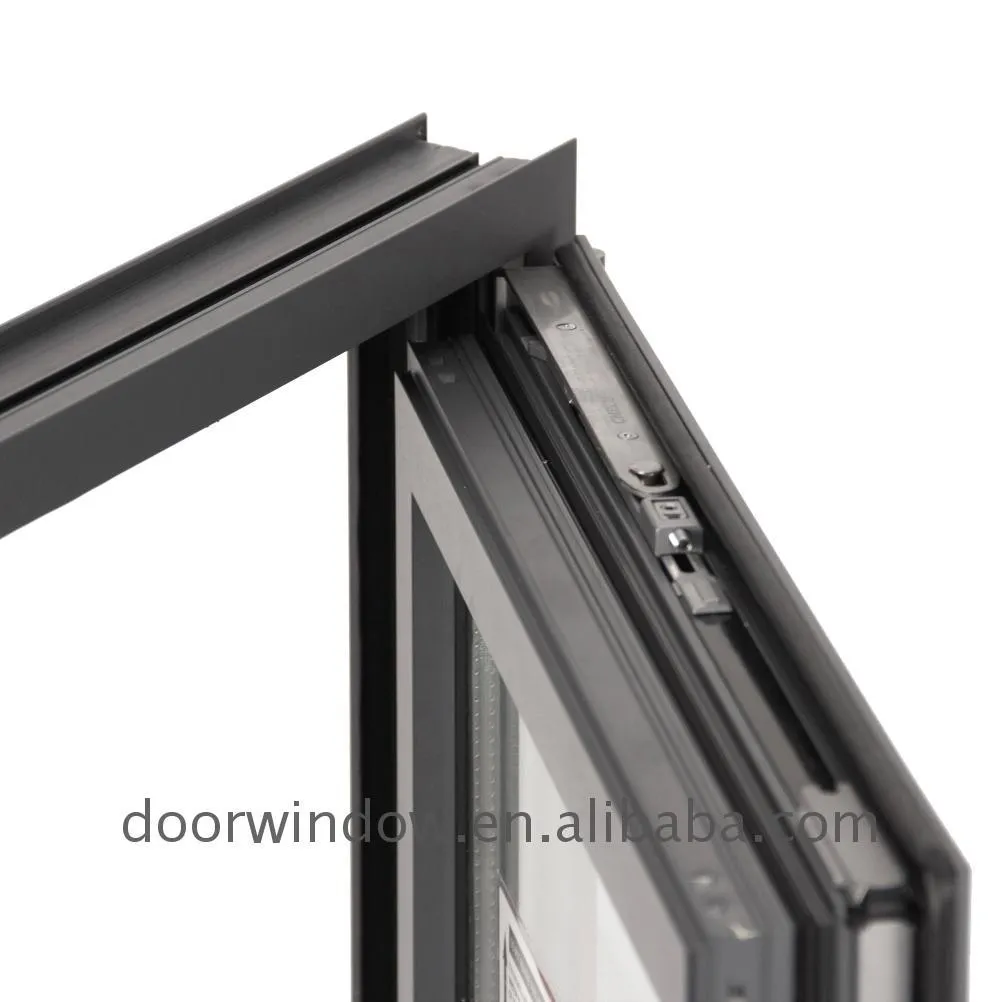 DOORWIN 2021Hot sale high quality wholesale insulating glass swing window hot-sale on discount