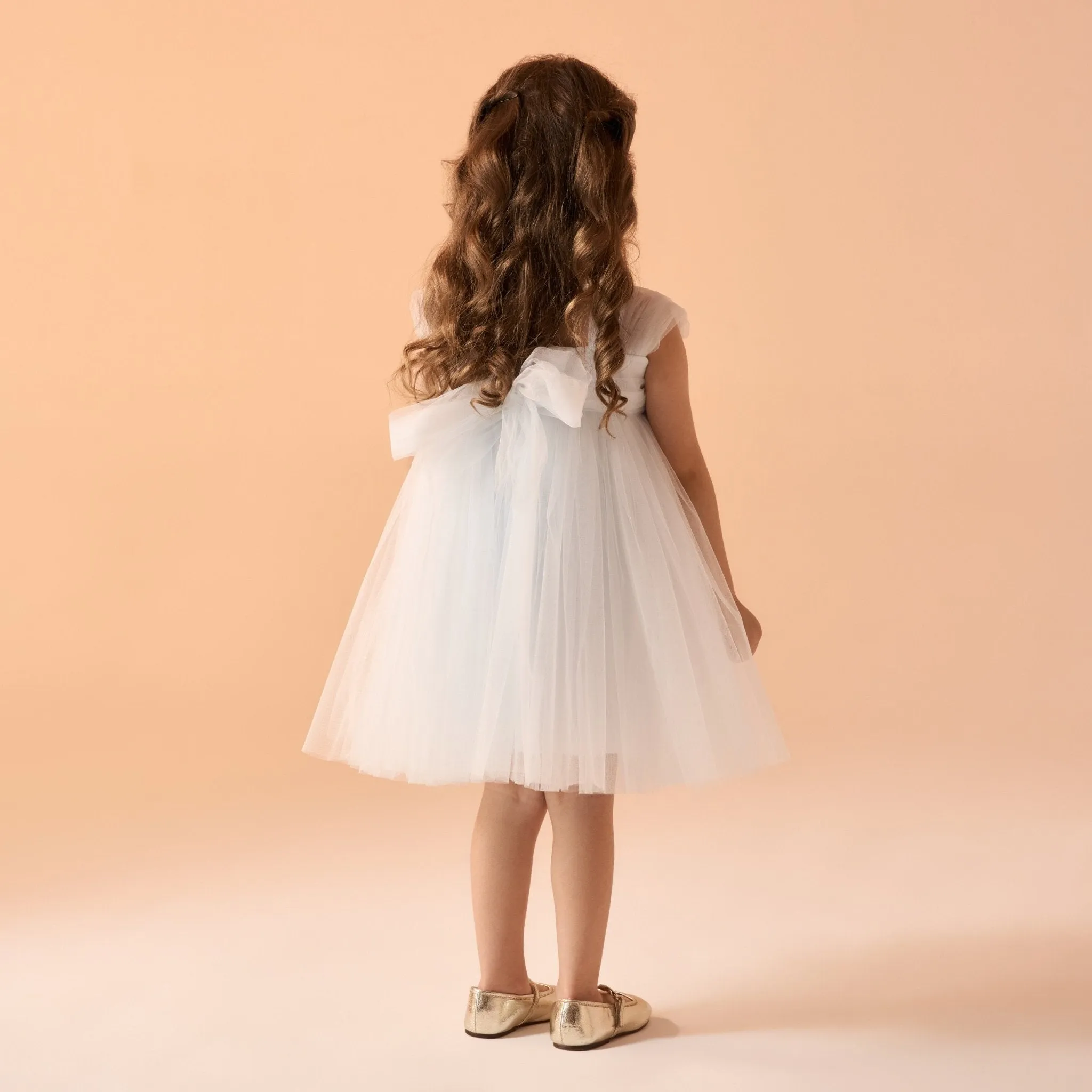 Off White Sleeveless Tulle Dress With Flowers