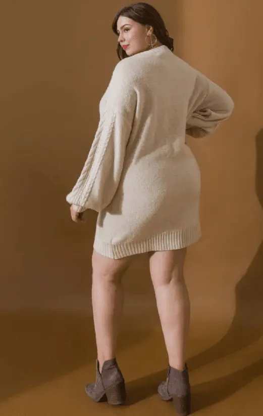 Plus Size Sweater Dress