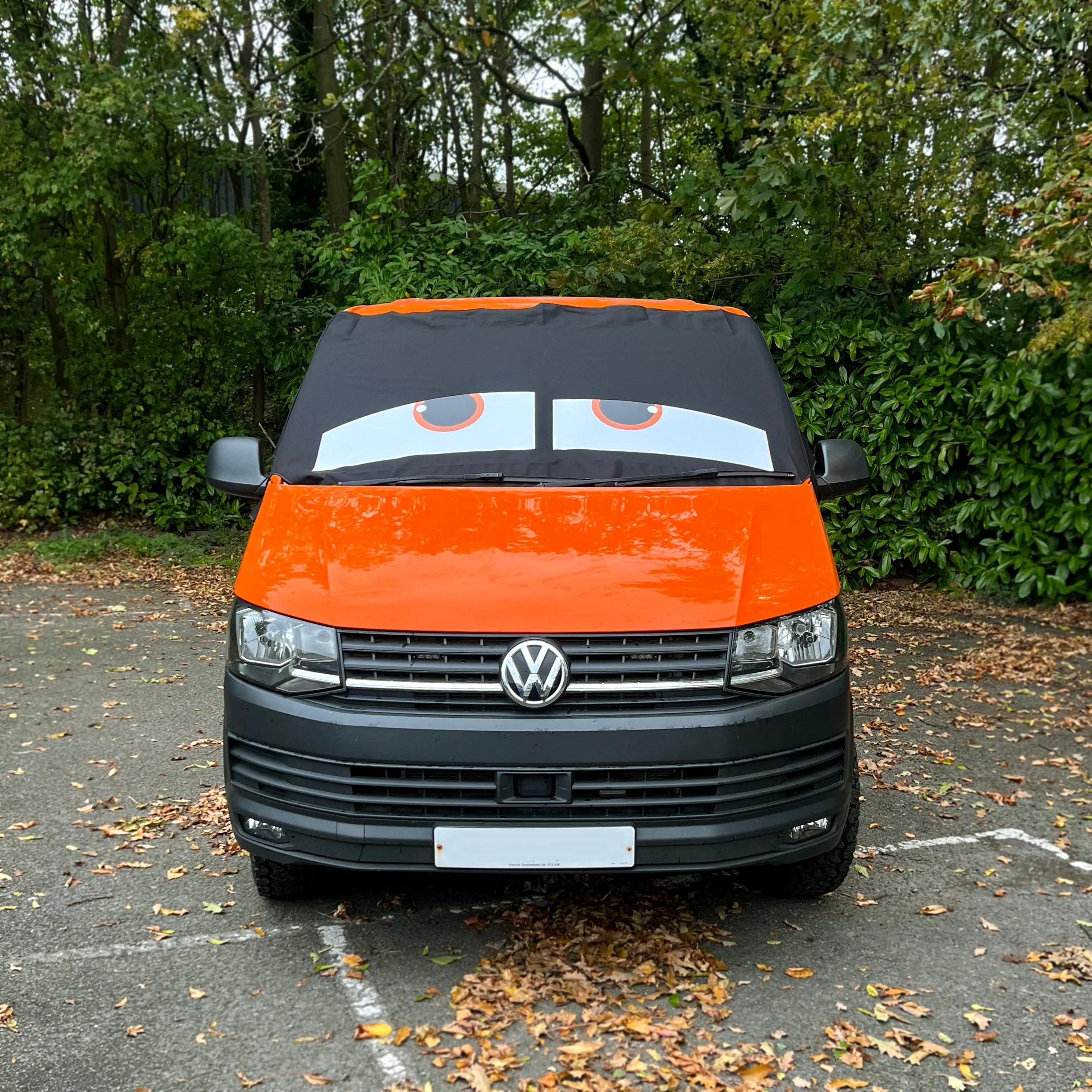 T6 Screen Wrap Eyes - James