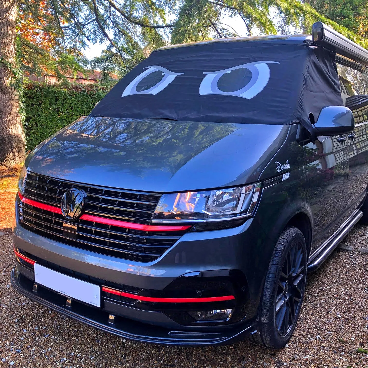 T6 Screen Wrap Eyes - Rocky