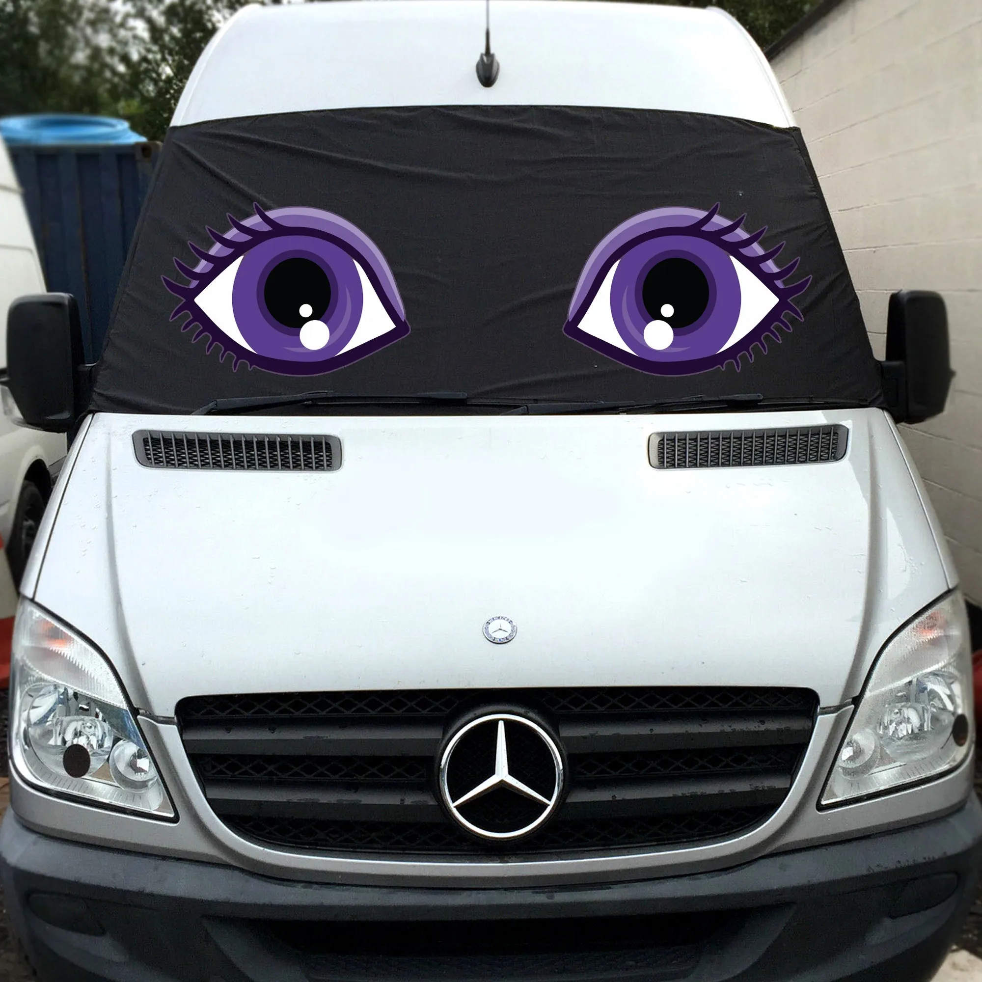 VW Crafter, Mercedes Sprinter Screen Cover Eyes - Flo
